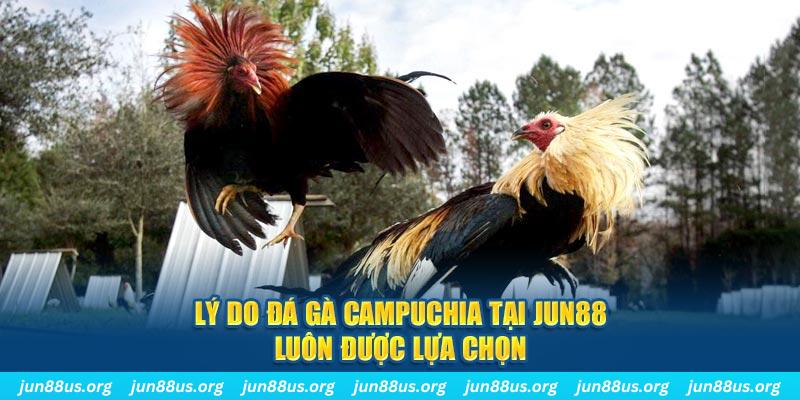 88 online sòng bạc KÈO NHÀ CÁI