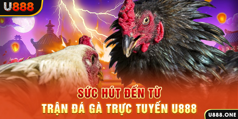hb888 casino Trực tuyến