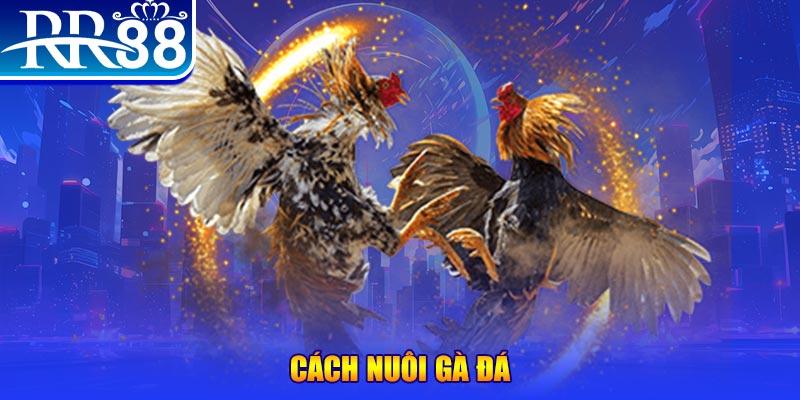 sv388 gold casino Sòng bạc