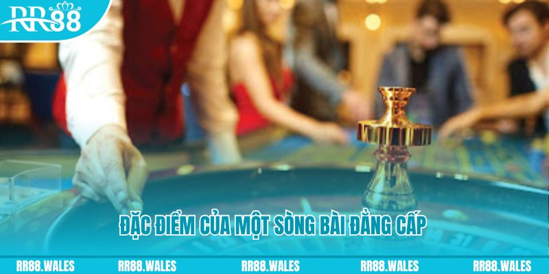 dk8 casino LÀ GÌ