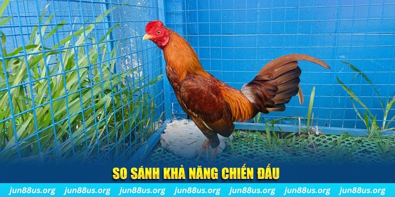 fi88 sòng bạc tỷ lệ bóng đá