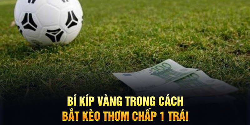 megacasino ĐĂNG NHẬP