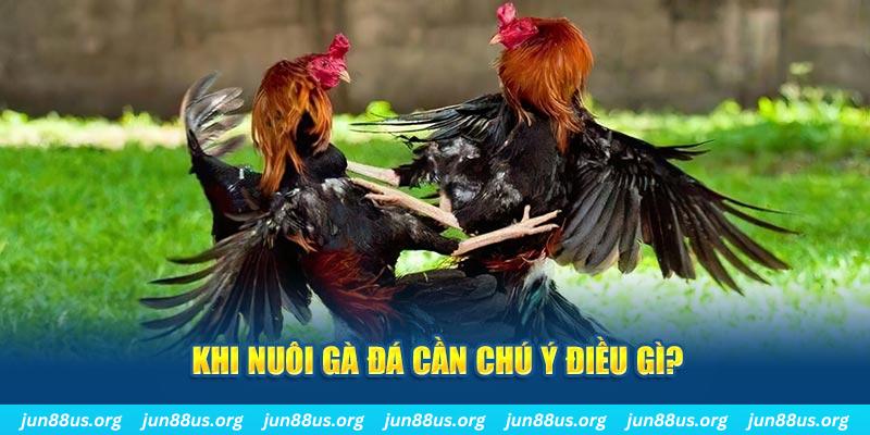 79king1 sòng bạc Trực tuyến