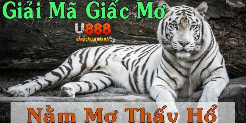 fun88go casino TỶ LỆ BÓNG ĐÁ