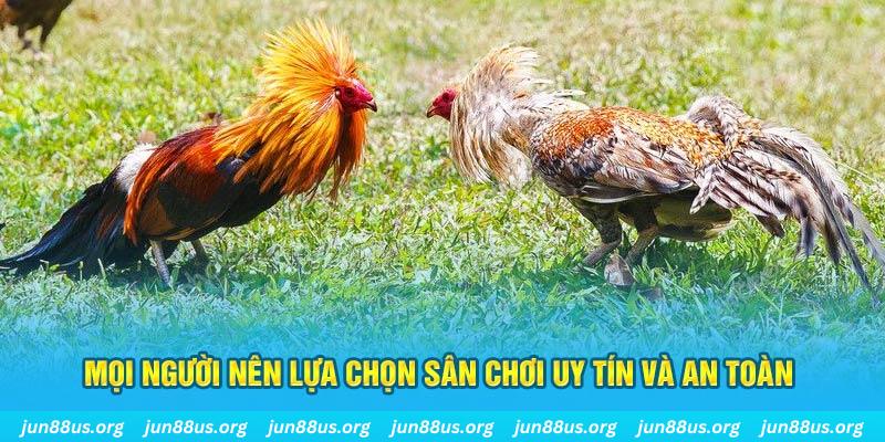b52 play sòng bạc tỷ lệ bóng đá