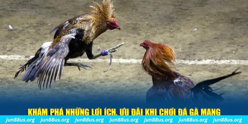 xoso66 win sòng bạc TỶ LỆ BÓNG ĐÁ