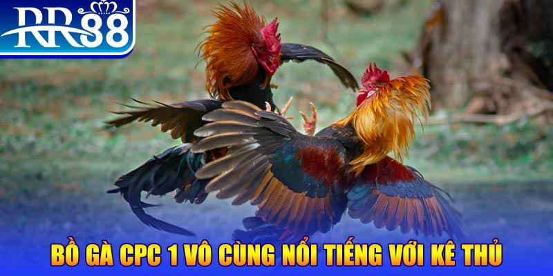 link vao bong88 casino SÒNG BẠC