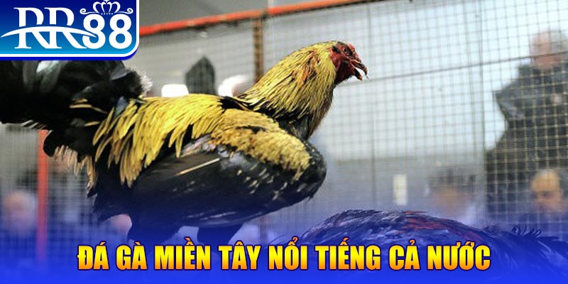 sunwin ngo casino Trực tuyến