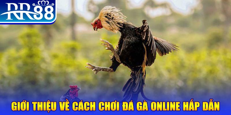 sunwin club sòng bạc Đăng ký