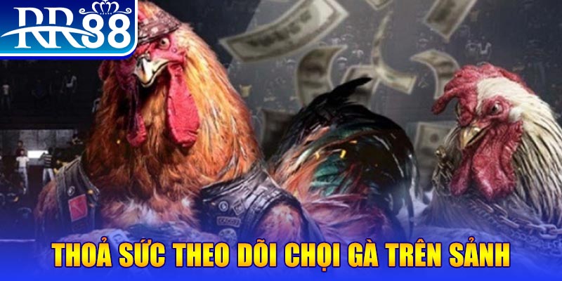 ae 888 casino ĐĂNG NHẬP