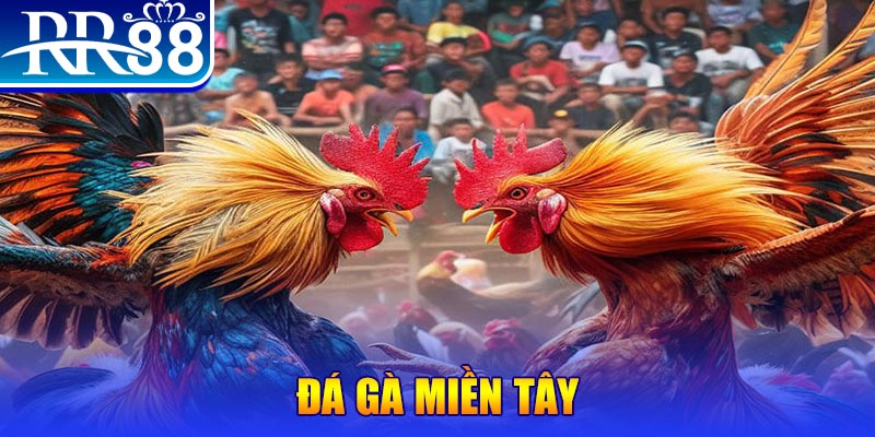 hb888 sòng bạc LINK MỚI